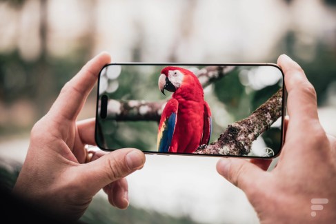 iPhone 16 Pro Max // Source : Robin Wycke pour Frandroid