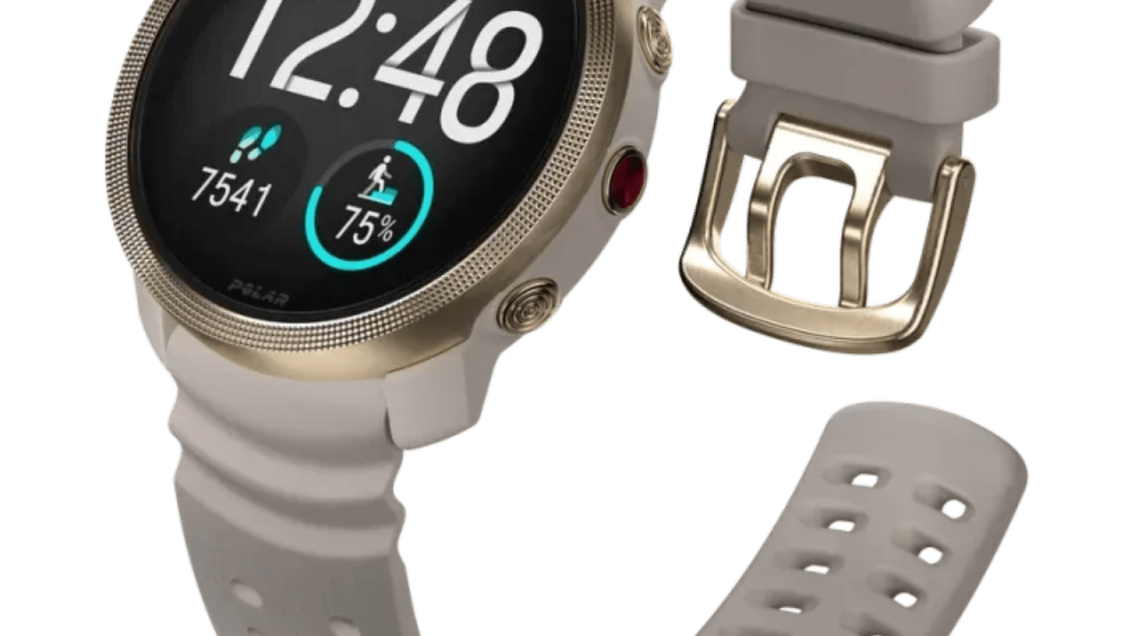 Lot De 2 Coques De Protection En Polycarbonate Pour Montre Polar