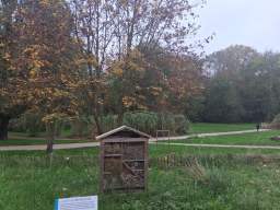 Samsung Galaxy A16 Exemple Photo (4)