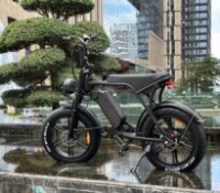 Ces chiffres montrent à quel point les fatbikes électriques illégaux ont séduit les Néerlandais