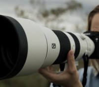 Sony dévoile un (très) gros zoom 400-800 mm, idéal pour la photo animalière