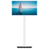 Thomson-Go-TV-Frandroid-2025