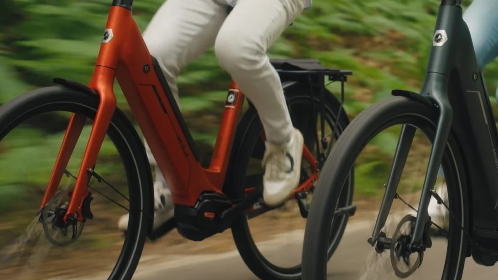 破産と消失は、このブランドのオランダの電動自転車の公式です