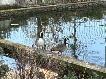 Apple iPhone 16e test photos camera 19
