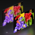 Dépôt de la marque « True RGB » et fuite des gammes TV de Sony pour 2026