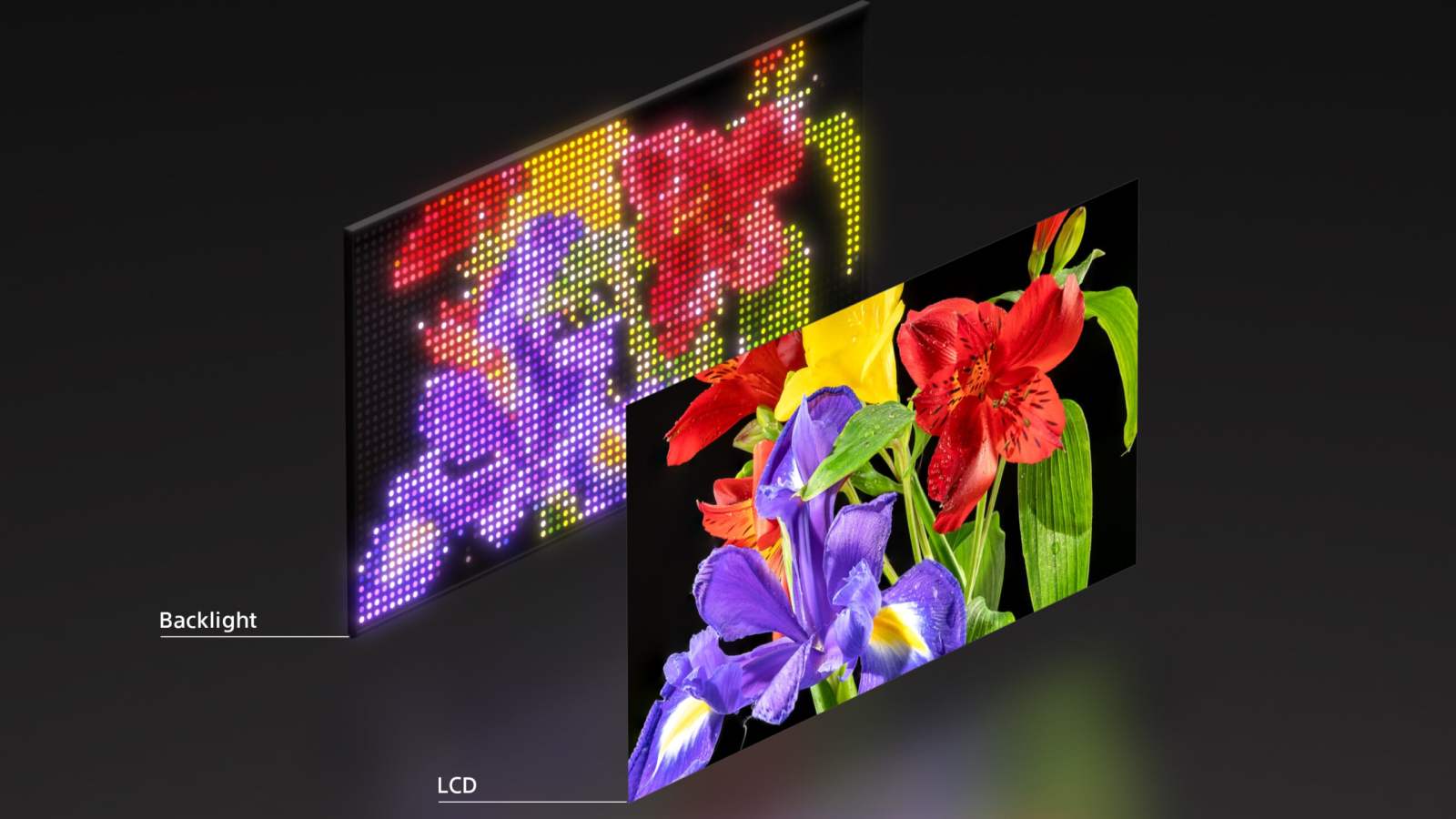 DÃ©pÃ´t de la marque Â«Â True RGBÂ Â» et fuite des gammes TV de Sony pour 2026