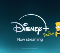 W9 le déteste : Disney+ lance une chaine Les Simpsons 24/24