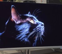 Le Philips Evnia 27M2N8500 en mode TrueBlack (poti chat) // Source : Maximilien Herr