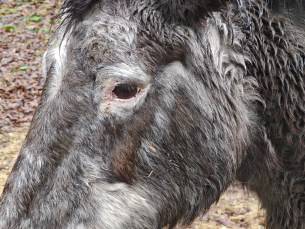 Poco F7 Ultra - Zoom 5x 1