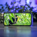 La version 256 Go de l’excellent Google Pixel 9a s’affiche à un prix inédit sur Amazon