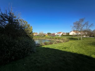 IMG_20250331_161417100_HDR
