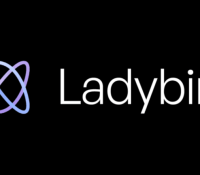 C’est quoi Ladybird, ce futur navigateur qui défie Chrome et Firefox en repartant aux sources
