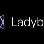 Ladybird : le futur navigateur alternatif à Google Chrome et Mozilla Firefox approche de son alpha
