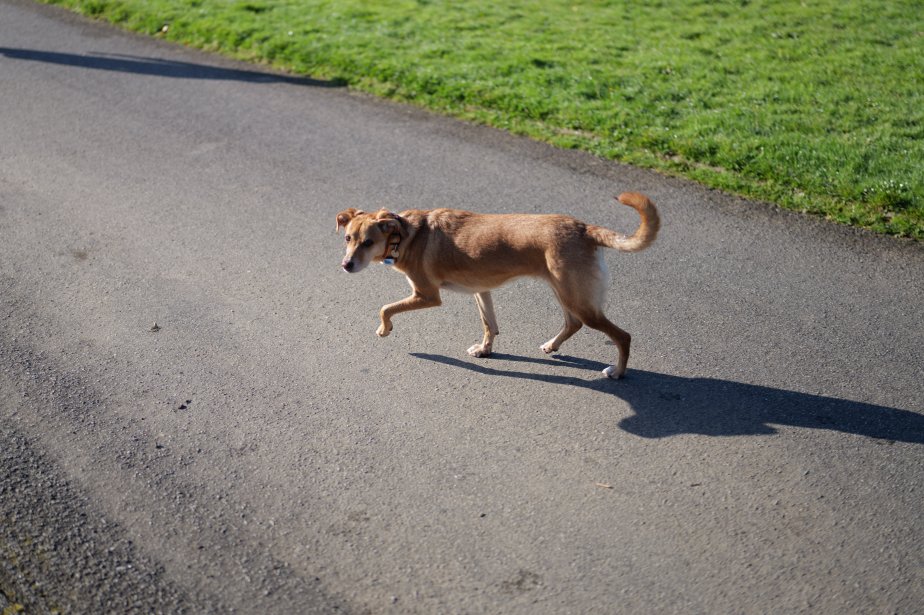 test-panasonic-s1rII-20