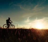 « Le vélo, c’est le transport du futur » : malgré des projections optimistes, le vélo a encore besoin de l’État pour les années à venir