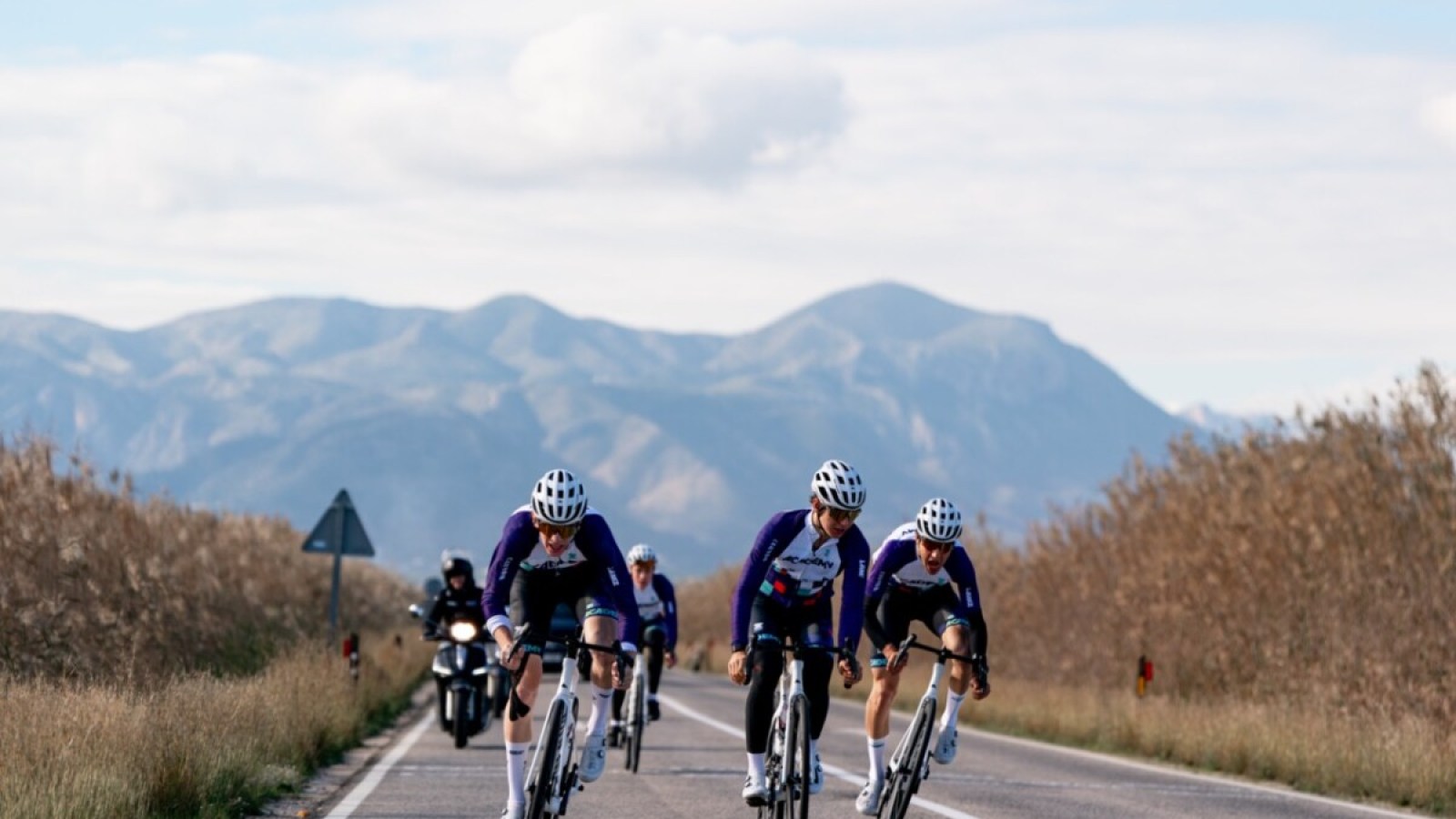 "Je roule presque tous les jours sur Zwift" : comment ce jeu vidéo est devenu incontournable pour les meilleurs cyclistes du monde