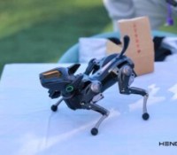 J’ai rencontré ce mini chien robot chinois : il est plus utile qu’il n’y paraît