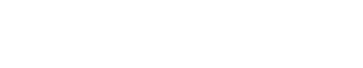 BLUETTI Logo – horizontal white 2 BLUETTI Logo – horizontal white 2