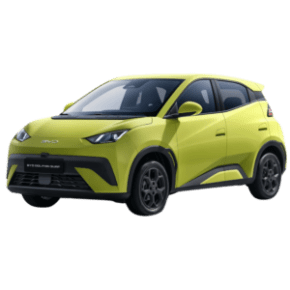 BYD Dolphin Surf
