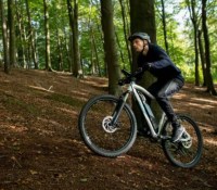 Decathlon Rockrider E-ST 100