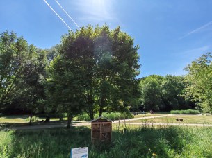 Honor 400 (13)