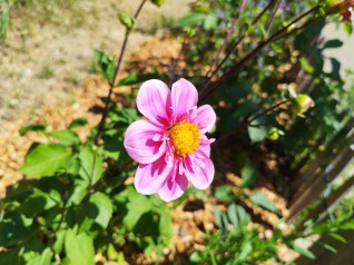 Honor 400 (23)