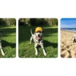 Google contre-attaque ChatGPT avec un outil photo bluffant dans Gemini