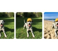 Google contre-attaque ChatGPT avec un outil photo bluffant dans Gemini
