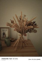 IMG_20250511_221624063
