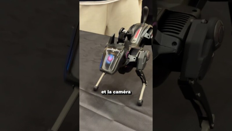 Voici Sirius le chien de garde robotique !