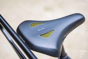 selle royale dessus