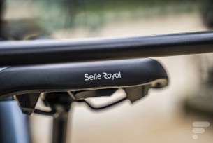 selle royale dos