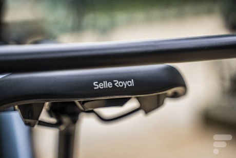 selle royale dos