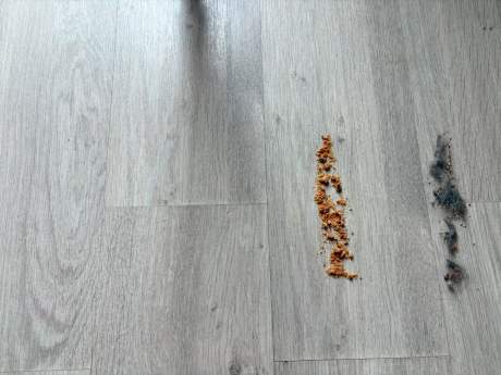 Switchbot K10+ Pro Combo (37)