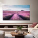 Avec ce nouveau TV QLED 4K 55″ (144 Hz), pas besoin de se ruiner : il coûte seulement 539 €