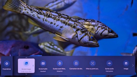Valerion VisionMaster Pro 2 // Source : Sylvain Pichot - Frandroid