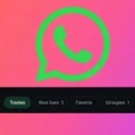 Petite mise à jour de WhatsApp : comment trier facilement vos conversations