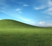 « L’ascenseur tournait sous Windows XP » : pourquoi de nombreuses infrastructures restent bloquées sur d’anciennes versions de Windows
