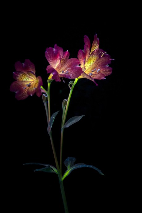 BNS_20250518_002643_738-sdr-hdr