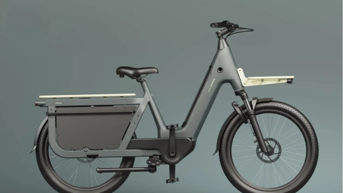 Decathlon Btwin E Two 900 vélo cargo électrique midtail