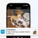 Ring déploie l’IA descriptive sur ses caméras : « un chien déchire du sopalin sur le tapis du salon »
