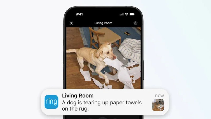 Ring déploie l’IA descriptive sur ses caméras : « un chien déchire du sopalin sur le tapis du salon »