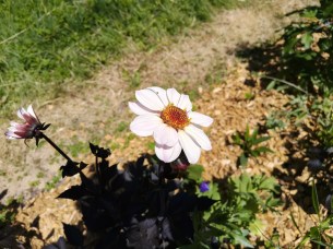 oplus_2097152