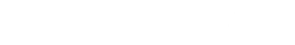 Logo Dell blanc