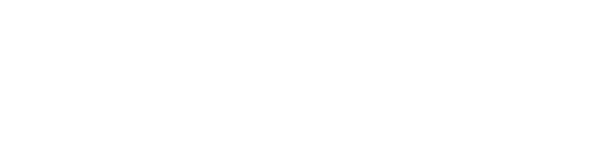 NordVPN logo white