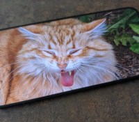 Poco F7 – Affichage 2