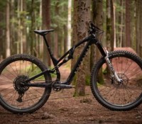 Rockrider E-Feel 900S Team Edition