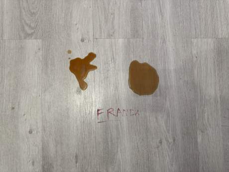 Shark PowerDetect NeverTouch Pro 2-en-1 (44)