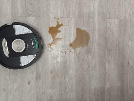 Shark PowerDetect NeverTouch Pro 2-en-1 (47)