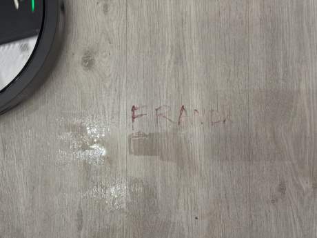 Shark PowerDetect NeverTouch Pro 2-en-1 (51)